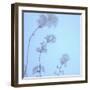 Cherry Blossom Heaven 13-null-Framed Photographic Print