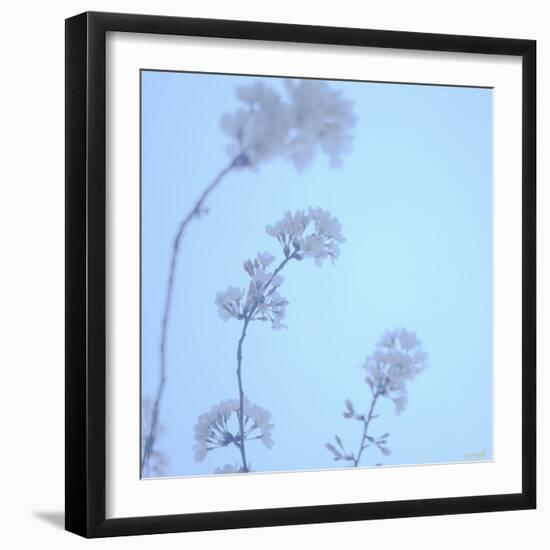 Cherry Blossom Heaven 13-null-Framed Photographic Print