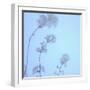 Cherry Blossom Heaven 13-null-Framed Photographic Print