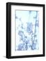 Cherry Blossom Heaven-null-Framed Photographic Print