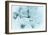 Cherry Blossom I-Kathy Mahan-Framed Photographic Print