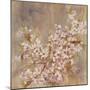 Cherry Blossom I-li bo-Mounted Giclee Print