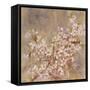 Cherry Blossom I-li bo-Framed Stretched Canvas