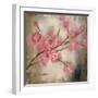 Cherry Blossom I-null-Framed Art Print