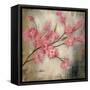 Cherry Blossom I-null-Framed Stretched Canvas