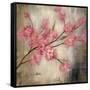 Cherry Blossom I-null-Framed Stretched Canvas