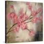 Cherry Blossom I-null-Stretched Canvas