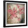 Cherry Blossom I-null-Framed Art Print