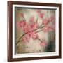 Cherry Blossom I-null-Framed Art Print