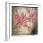 Cherry Blossom I-null-Framed Art Print