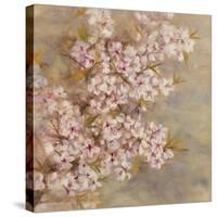Cherry Blossom II-li bo-Stretched Canvas