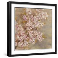 Cherry Blossom II-li bo-Framed Giclee Print