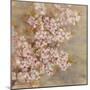 Cherry Blossom II-li bo-Mounted Premium Giclee Print