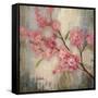 Cherry Blossom II-null-Framed Stretched Canvas