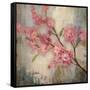 Cherry Blossom II-null-Framed Stretched Canvas