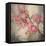 Cherry Blossom II-null-Framed Stretched Canvas