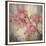 Cherry Blossom II-null-Framed Premium Giclee Print