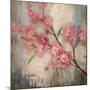 Cherry Blossom II-null-Mounted Premium Giclee Print