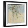 Cherry Blossom II-Patricia Pinto-Framed Art Print