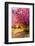 Cherry blossom in Greenwich Park, London, England, United Kingdom, Europe-Ed Hasler-Framed Photographic Print