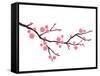 Cherry Blossom In Spring Time-photosoup-Framed Stretched Canvas