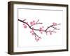 Cherry Blossom In Spring Time-photosoup-Framed Art Print