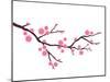 Cherry Blossom In Spring Time-photosoup-Mounted Art Print