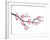 Cherry Blossom In Spring Time-photosoup-Framed Art Print