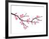 Cherry Blossom In Spring Time-photosoup-Framed Art Print