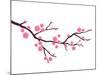 Cherry Blossom In Spring Time-photosoup-Mounted Art Print
