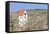 Cherry Blossom in the Eggenen Valley and Church Tower of Obereggen-Marcus-Framed Stretched Canvas