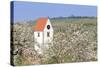 Cherry Blossom in the Eggenen Valley and Church Tower of Obereggen-Marcus-Stretched Canvas