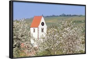 Cherry Blossom in the Eggenen Valley and Church Tower of Obereggen-Marcus-Framed Photographic Print