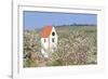 Cherry Blossom in the Eggenen Valley and Church Tower of Obereggen-Marcus-Framed Photographic Print