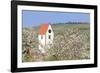 Cherry Blossom in the Eggenen Valley and Church Tower of Obereggen-Marcus-Framed Photographic Print