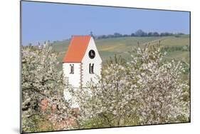 Cherry Blossom in the Eggenen Valley and Church Tower of Obereggen-Marcus-Mounted Photographic Print