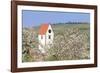 Cherry Blossom in the Eggenen Valley and Church Tower of Obereggen-Marcus-Framed Photographic Print