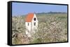 Cherry Blossom in the Eggenen Valley and Church Tower of Obereggen-Marcus-Framed Stretched Canvas