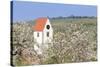 Cherry Blossom in the Eggenen Valley and Church Tower of Obereggen-Marcus-Stretched Canvas