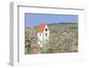 Cherry Blossom in the Eggenen Valley and Church Tower of Obereggen-Marcus-Framed Photographic Print