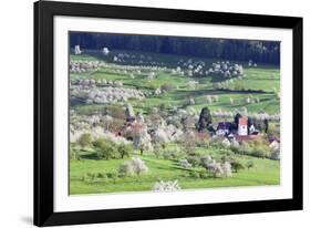 Cherry Blossom in the Eggenen Valley Near Obereggen-Marcus-Framed Photographic Print