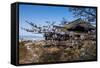 Cherry Blossom in the Kiyomizu-Dera Buddhist Temple, UNESCO World Heritage Site, Kyoto, Japan, Asia-Michael Runkel-Framed Stretched Canvas