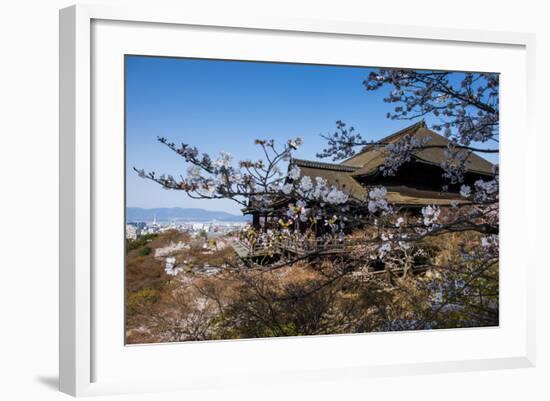 Cherry Blossom in the Kiyomizu-Dera Buddhist Temple, UNESCO World Heritage Site, Kyoto, Japan, Asia-Michael Runkel-Framed Photographic Print