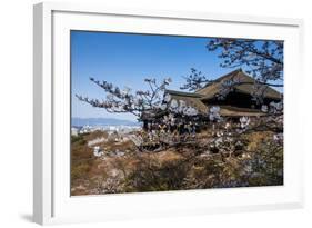 Cherry Blossom in the Kiyomizu-Dera Buddhist Temple, UNESCO World Heritage Site, Kyoto, Japan, Asia-Michael Runkel-Framed Photographic Print