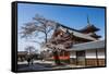 Cherry Blossom in the Kiyomizu-Dera Buddhist Temple, UNESCO World Heritage Site, Kyoto, Japan, Asia-Michael Runkel-Framed Stretched Canvas