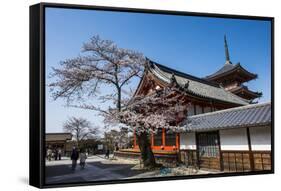 Cherry Blossom in the Kiyomizu-Dera Buddhist Temple, UNESCO World Heritage Site, Kyoto, Japan, Asia-Michael Runkel-Framed Stretched Canvas