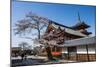 Cherry Blossom in the Kiyomizu-Dera Buddhist Temple, UNESCO World Heritage Site, Kyoto, Japan, Asia-Michael Runkel-Mounted Photographic Print