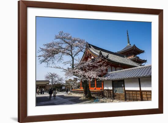 Cherry Blossom in the Kiyomizu-Dera Buddhist Temple, UNESCO World Heritage Site, Kyoto, Japan, Asia-Michael Runkel-Framed Photographic Print