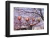 Cherry Blossom in the Maruyama-Koen Park, UNESCO World Heritage Sight Kyoto, Japan-Michael Runkel-Framed Photographic Print