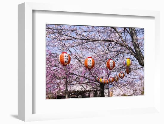 Cherry Blossom in the Maruyama-Koen Park, UNESCO World Heritage Sight Kyoto, Japan-Michael Runkel-Framed Photographic Print